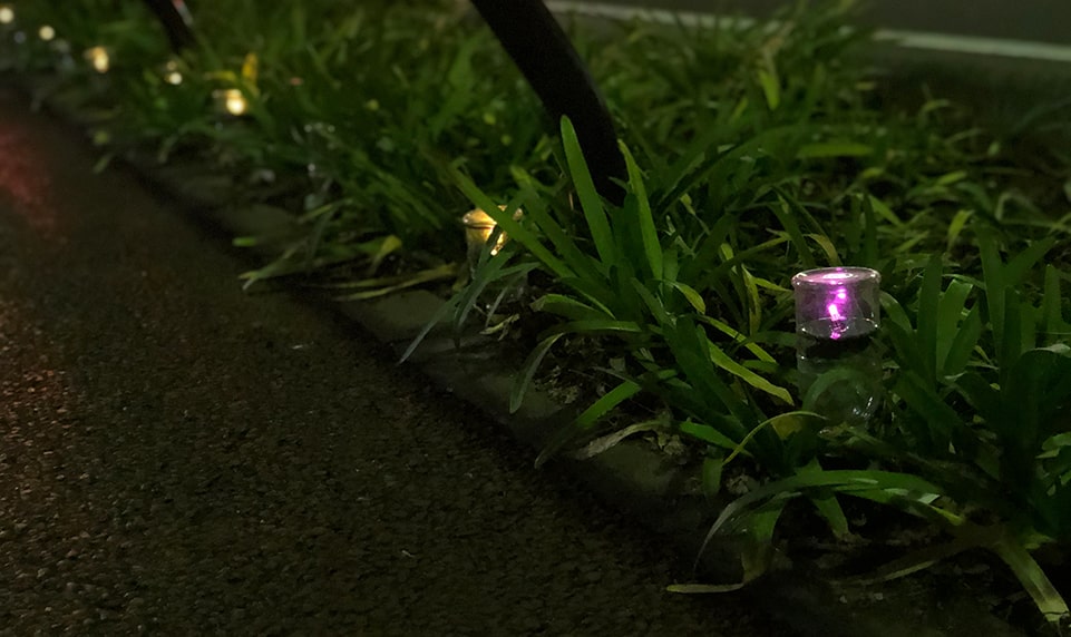 夜道で光るペットボタル
